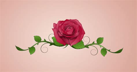 Cool tattoos with roses on arm. Rose Tattoo Meaning - Tattoos With Meaning