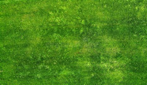 Aerial Grass Texture Stock Photo Image Of Ground Above 73493700