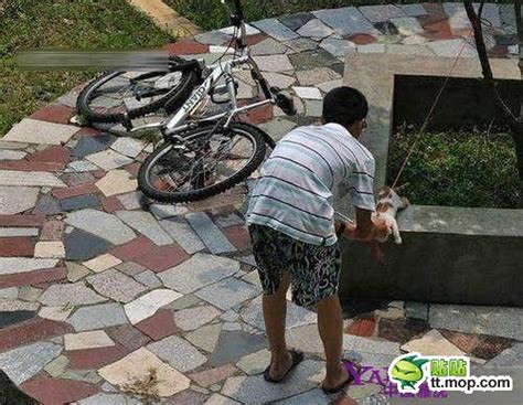 Mona bergerak masuk ke dalam kereta dan duduk di kerusi depan bersebelahan amir. Gila Kejam Kucing Dibuat Seperti Mainan | Media Semasa