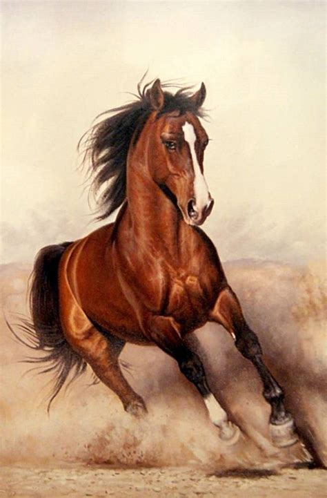 They're called horse apples because they're round and the same shade of green as fresh horse shit. Pin by Анатолий Федоров on Лошади | Horses, Beautiful ...