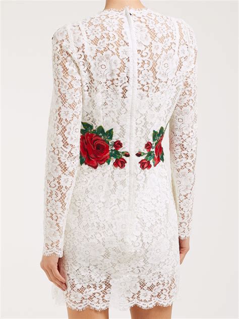 Rose-embroidered lace mini dress | Dolce & Gabbana | MATCHESFASHION.COM ...