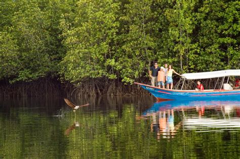 Langkawi Mangrove Kilim Geoforest Park Tour Sharing Boat Travelog