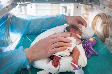 A Nursery Nurse Takes Care Of A Premature Baby France Stock Image