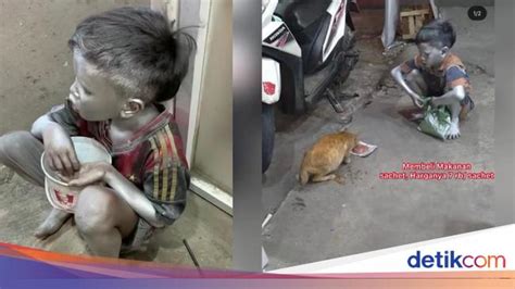 Ane emang kurus dari kecil. Bocah 'Silver' Ini Menahan Lapar Demi Beri Makan Kucing ...