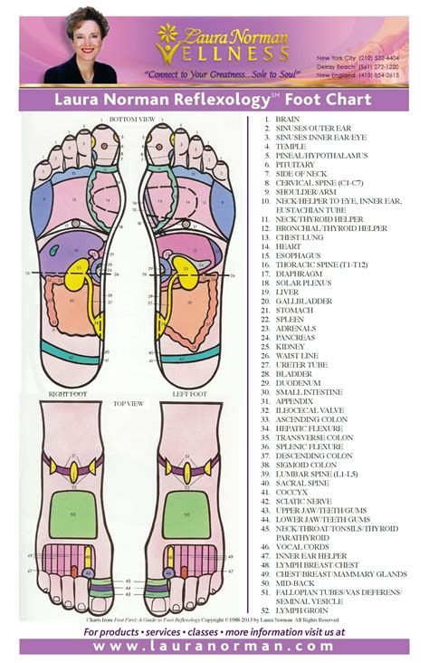 31 Printable Foot Reflexology Charts And Maps Templatelab Reflexology