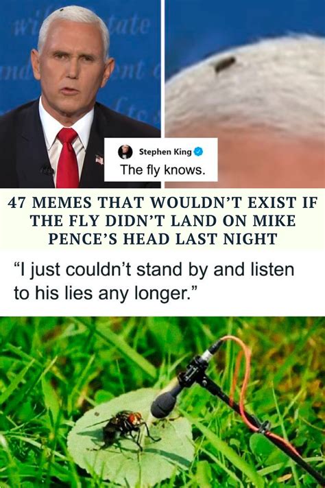 47 Memes That Wouldn’t Exist If The Fly Didn’t Land On Mike Pence’s Head Last Night Funny