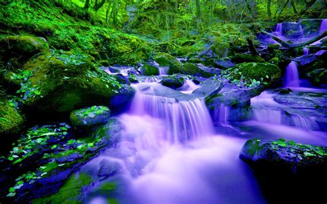Waterfall Hd Rocks Forest Phones Mobile Tablet Moss Fall River