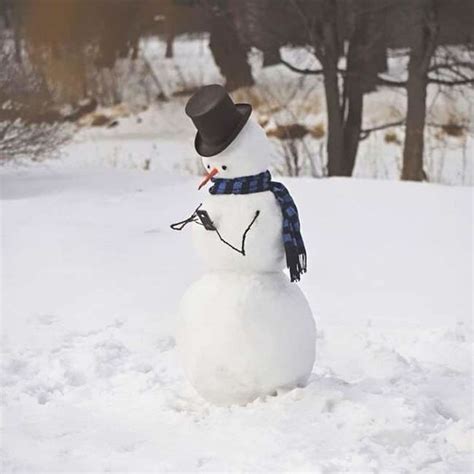 15 Snowman Pictures That Shows Winter Can Be So Much Fun