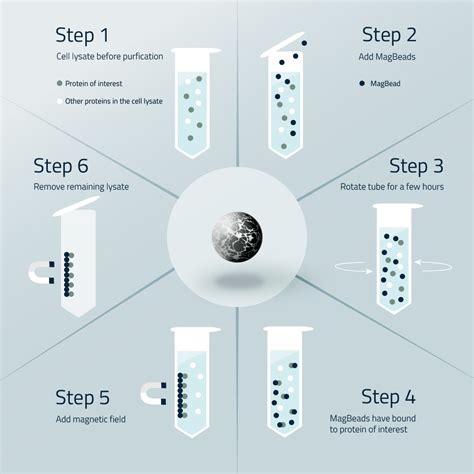 Guide To Magnetic Beads Magbeads For Purification