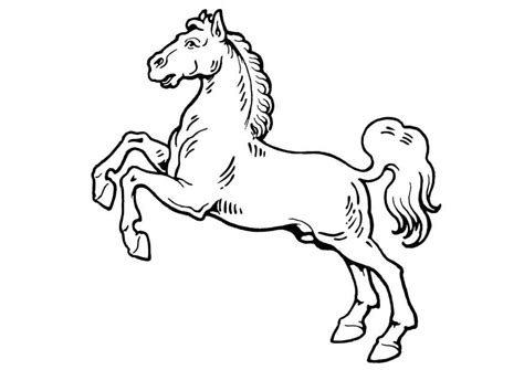 Dibujo para colorear caballo - Dibujos Para Imprimir Gratis - Img 19310
