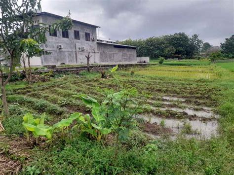 Tanah Kebun Rata Dan Strategis