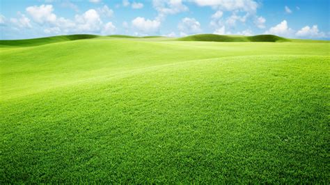 Green Landscape Wallpaper 1920x1080 53370