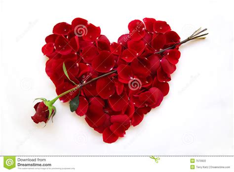 Valentines Day Red Heart With Rose Arrow Stock Photography Image 7570922