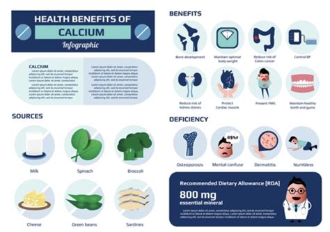 health benefits calcium supplement infographic vector stock vector royalty free 307049291