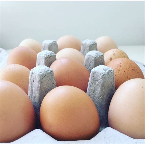 Organic Pastured Chicken Eggs 1 Dz Market Wagon Online Farmers