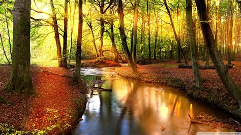 Autumn Landscape Wallpaper ·① Wallpapertag