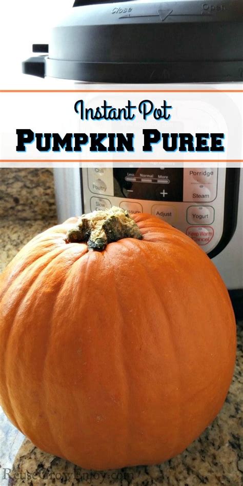Sugar pumpkins and pie pumpkins have a more concentrated. If you have a fresh pumpkin or two that need to be used ...