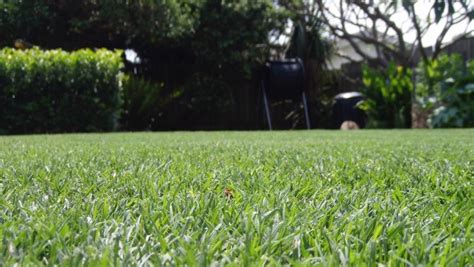 Lawn Porn Australians Who Love Their Lawn Are Frothing