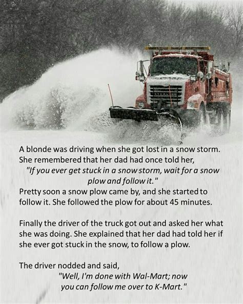 The Snow Plow And The Blonde Snow Humor Minions Funny Humor