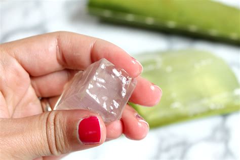 DIY Aloe Vera Juice - Cooking with Books