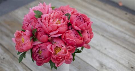 Flower Care Guide Peony Bouquets Bouqs Blog