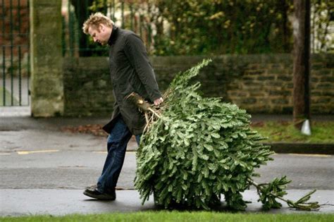 Take out the green paper, making sure it's folded so that the words are readable (not backwards). When to take down your Christmas tree in the new year ...