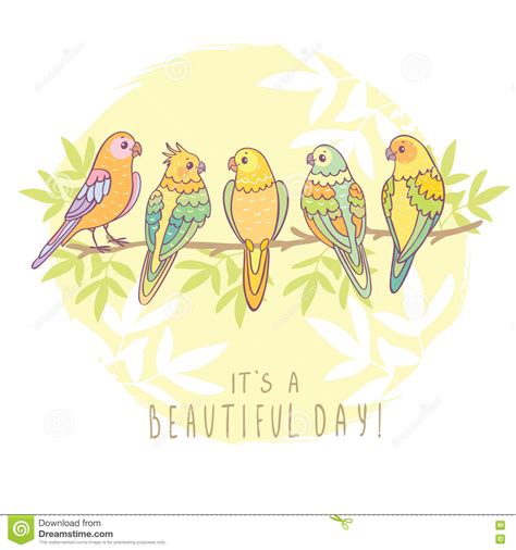 Cute Cartoon Parrot Stock Vector Illustration Of Design