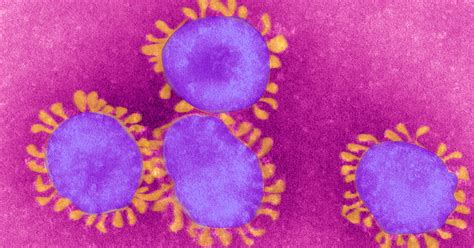 It was first identified in december 2019 in wuhan,. What New Mutant COVID Strain In New York Means