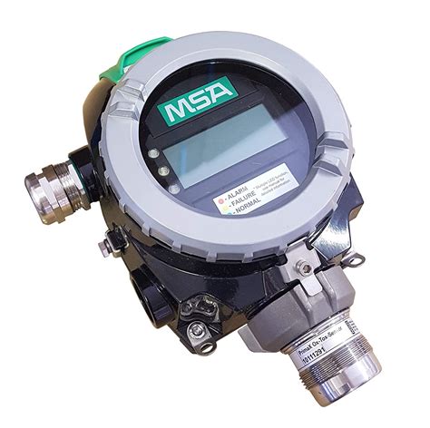 10112429 P Am Atex 1 N03 P500d En Msa Gas Transmitter Detection
