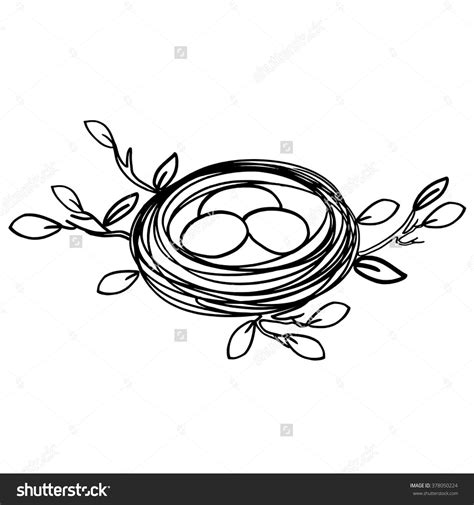 Nest Eggs Simple Hand Drawn Vector Stock Vector Royalty Free