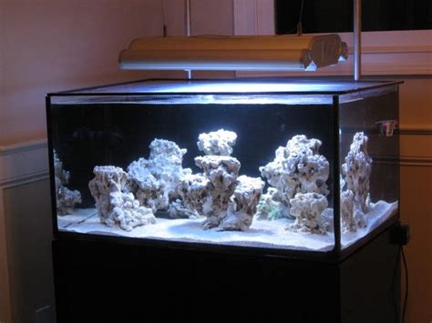 Show Me Your 36x24 Aquascape Reef Central Online Community