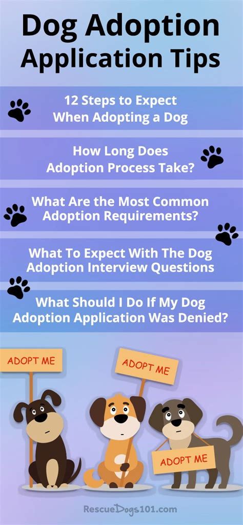 #adoption #fostercare #adoptionfromfostercare #usadoption #fostertoadopt i wanted to give everyone following our story and update on our adoption and also. Adopting a Dog Process | Dog adoption, Adoption process ...