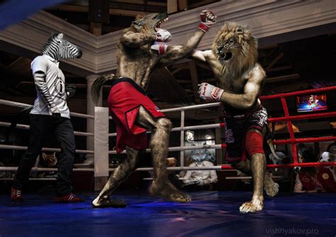 Epic Fight By Neon Hyena On Deviantart