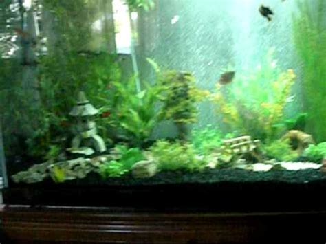 From gravel to sand, driftwood to sea rocks, realistic backgrounds to underwater caves, plastic plants to live plants, our aquarium accessories will transform your fish tank. My asian-themed 120-gallon fish tank!!!!!!!!!!!!!!!! - YouTube
