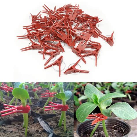 Plant Support Clips Tomato Plastic Grafting Plant Clips 50pcs