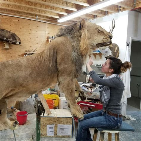 Women In Taxidermy Interview With Michelle Bennett The Tiny Taxidermist