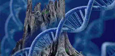 The Tree of Knowledge Contained Viruses That Destroyed The Tree of Life ...