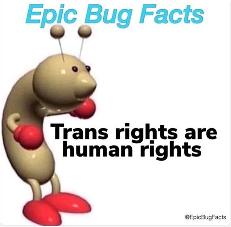 Epic Bug Fact Rcoolbugfacts