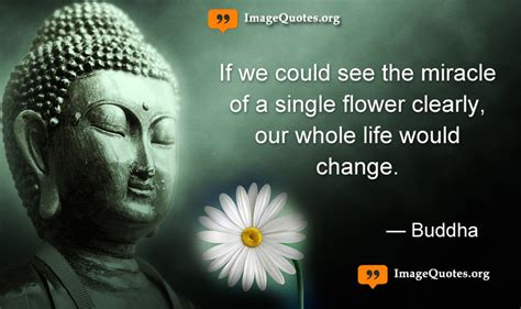 15 Inspiring Mahatma Buddha Quotes And Sayings For Life