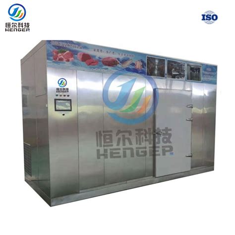 Industrial Frozen Meat Thawing Defrosting Machine With Low Temperature