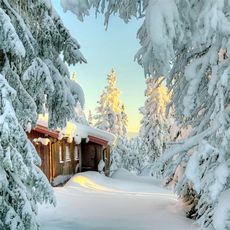 Snow Covered Small Cabin