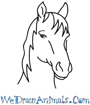 Your done witht he mustang horse. How to Draw a Mustang Horse Head