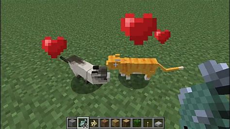 Microbit talking robot by mulia wi in toys & games. Minecraft Snapshot 12w04a how to tame and breed ocelot ...
