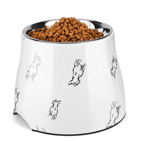 Stainless Steel Elevated Dog Bowl Feeder Up To 24 Fl Oz Raised Cat