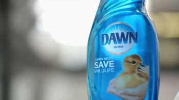 Dawn Tv Commercial Cleaning Oil Spills Ispot Tv