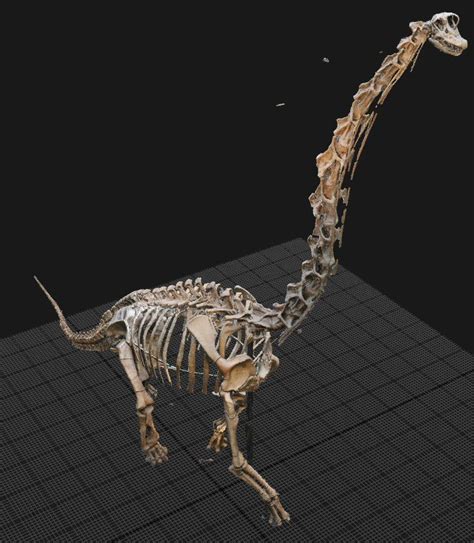 Giraffatitan In All Its 3d Digital Glory Was Digitizing Entire