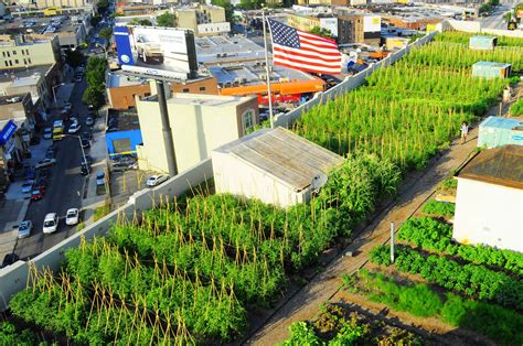 26 Urban Farming Rooftop Garden References