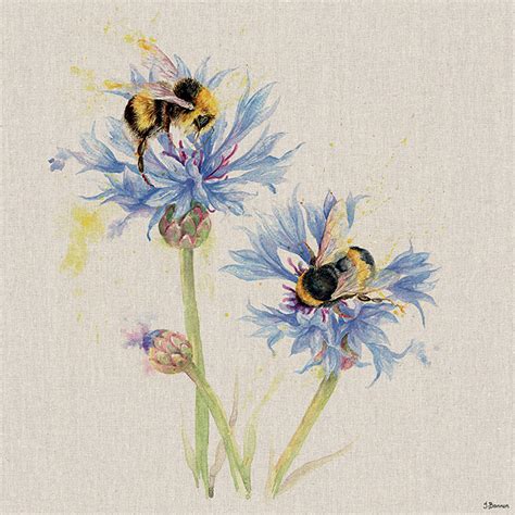 Jane Bannon Bees On Cornflowers Canvas Print The Art Group