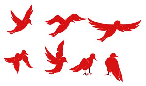 Free Bird Animation Download Free Bird Animation Png Images Free