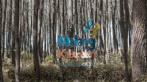 Every 20 minutes (august 2003). Hutan Pinus Semeru, Wisata Baru di Malang untuk Nikmati Liburan Akhir Pekan - Tribun Travel